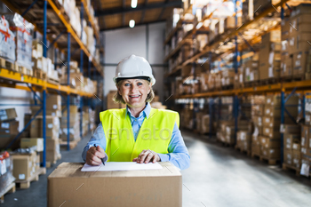 A senior woman warehouse worker or supervisor controlling stock. stock photo NULLED