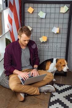 Freelancer Working on Laptop While Beagle Sitting stock photo NULLED