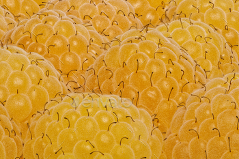 Group of yellow raspberries stock photo NULLED