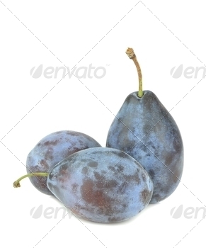 Small Group of Plums